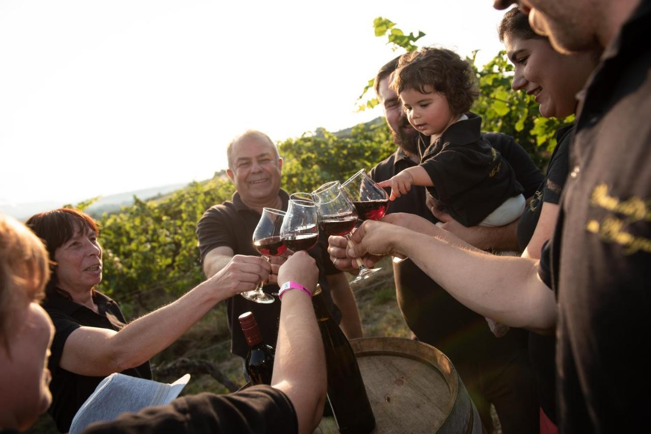 ホテル Weinschloesschen Im Weingut Roos Ilbesheim エクステリア 写真