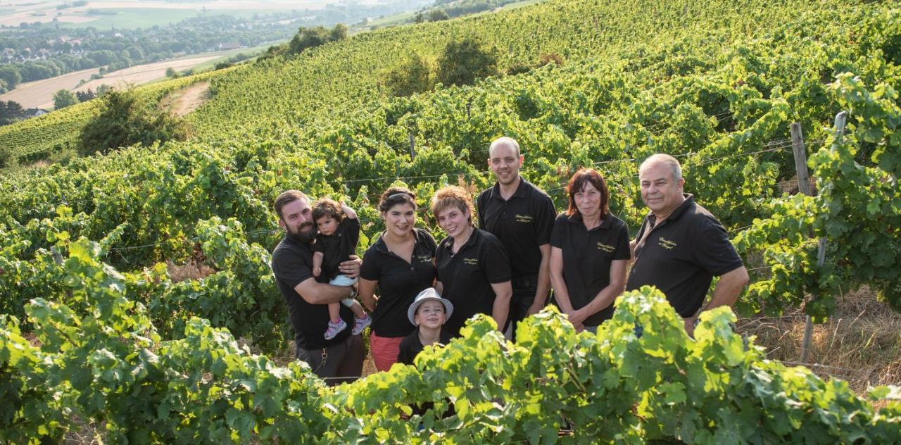 ホテル Weinschloesschen Im Weingut Roos Ilbesheim エクステリア 写真