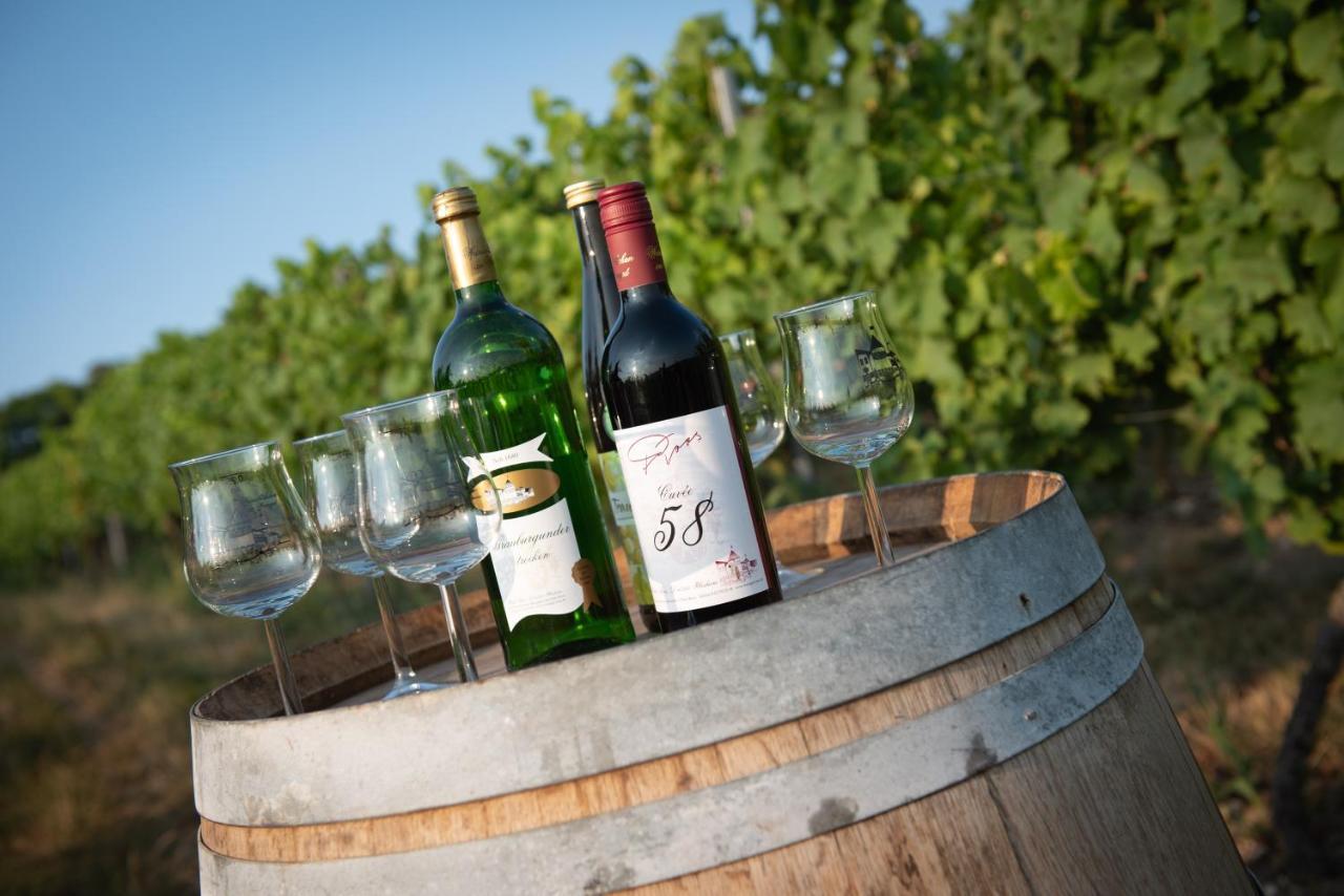 ホテル Weinschloesschen Im Weingut Roos Ilbesheim エクステリア 写真